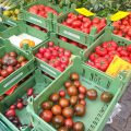 Erlanger Markt Tomatenspezialist